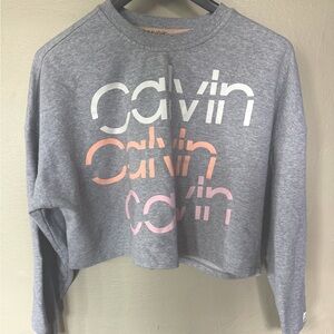 Calvin Klein Gray Graphic Crop Sweatshirt